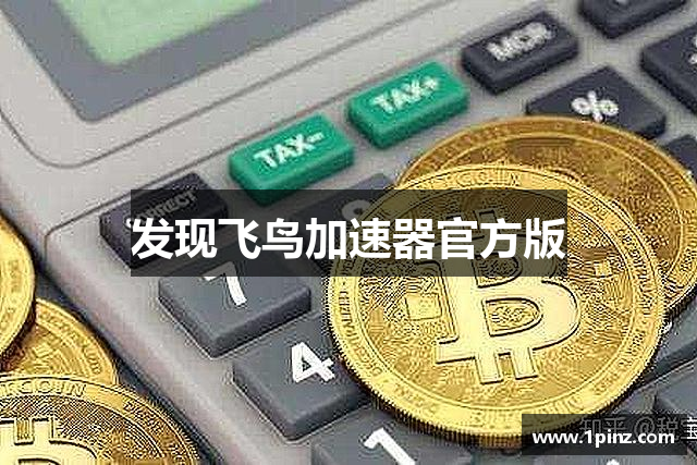 发现飞鸟加速器官方版